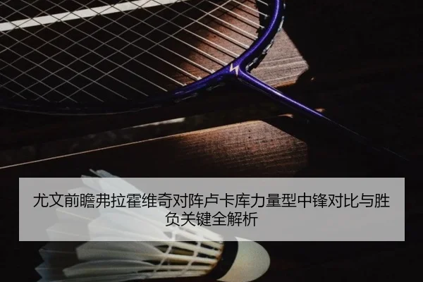 尤文前瞻弗拉霍维奇对阵卢卡库力量型中锋对比与胜负关键全解析